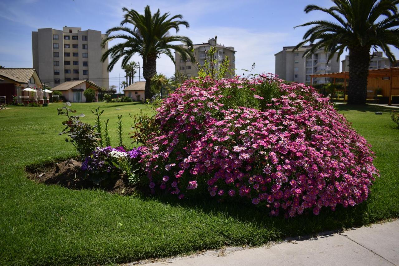 Apart Hotel Y Cabanas Vegasur La Serena Exterior photo